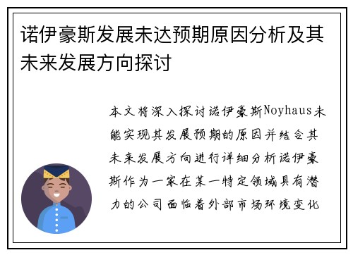 诺伊豪斯发展未达预期原因分析及其未来发展方向探讨 诺伊豪斯发展未达预期原因分析及其未来发展方向探讨